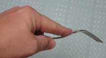 continental fork